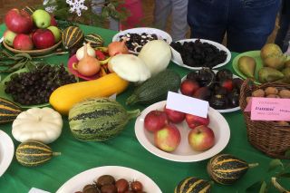 Jesenná výstava ovocia a zeleniny